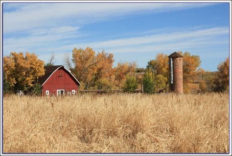 mid mi craigslist|craigslist lansing mi farm.